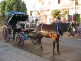 Carriage Ride