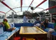 A Boat trip by the River Nile - 5