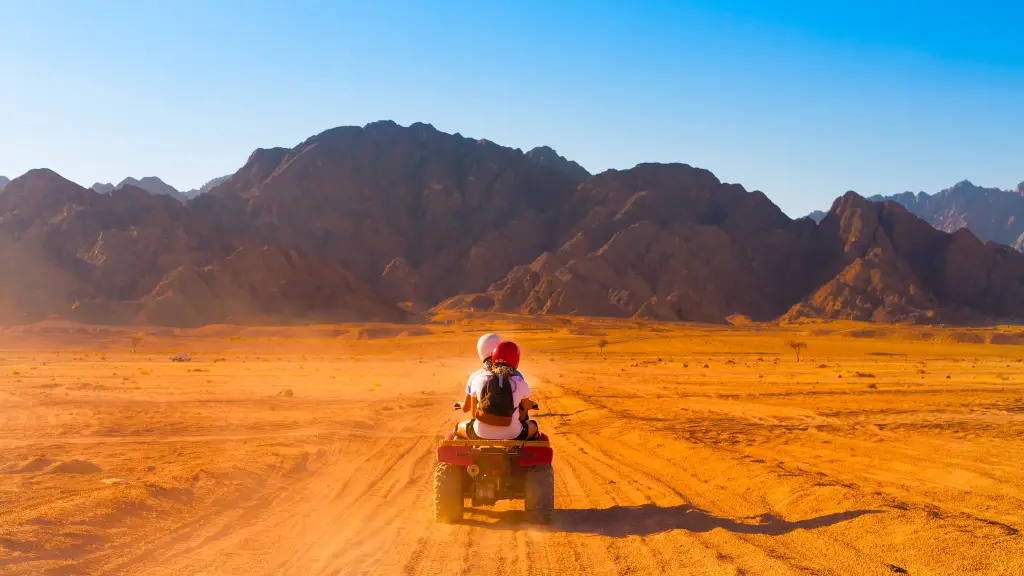 Buggy riding (30 minutes) - 4