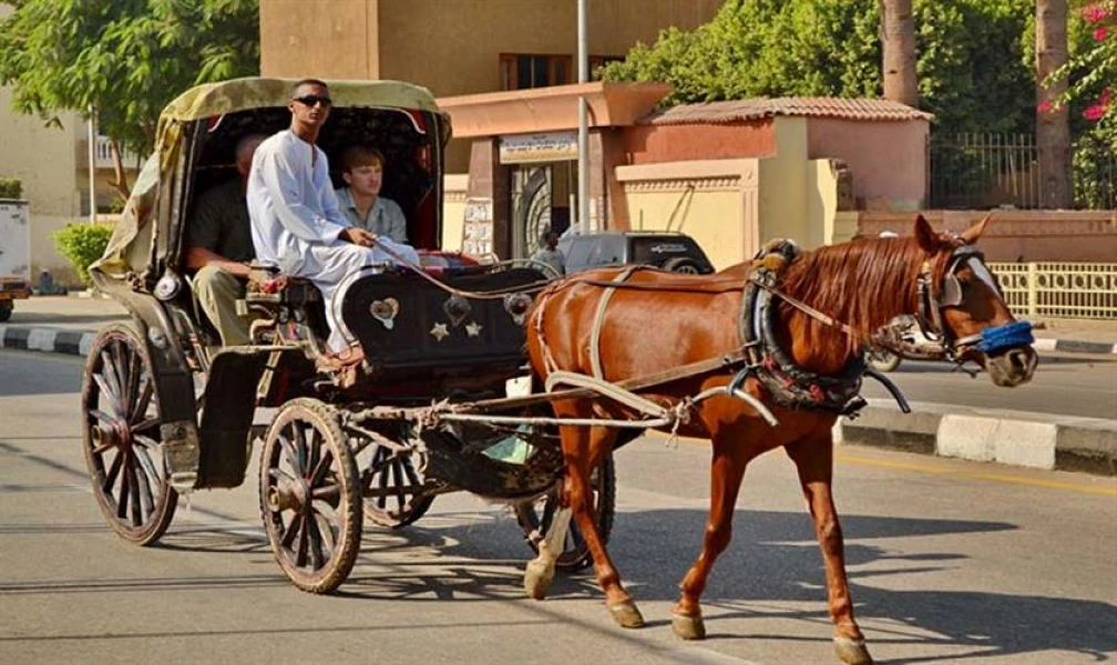 Carriage Ride - 8