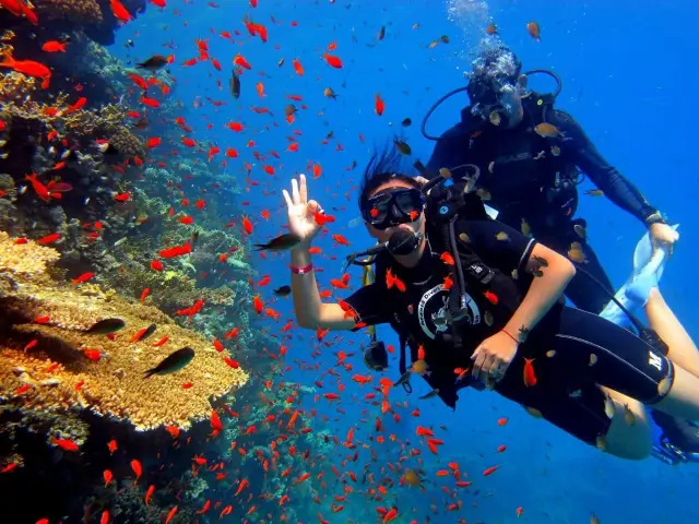 Diving ( 1 intro dive)- minimum 4 persons - 1