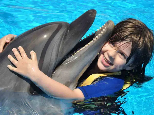 DOLPHIN PHOTO SESSION - 2