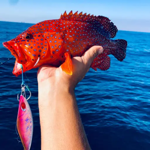 ELGOUNA FISH FARM - 2