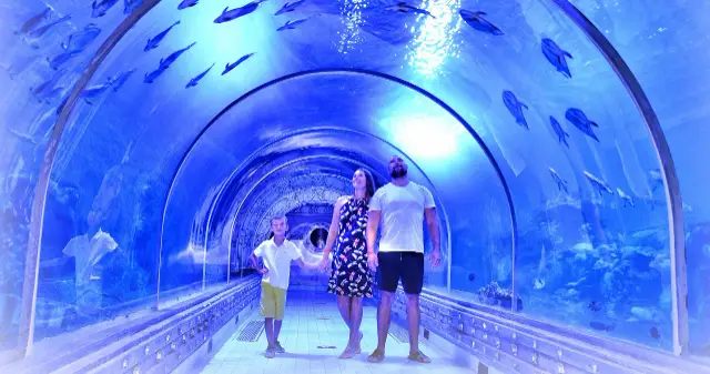 GRAND AQUARIUM - 3