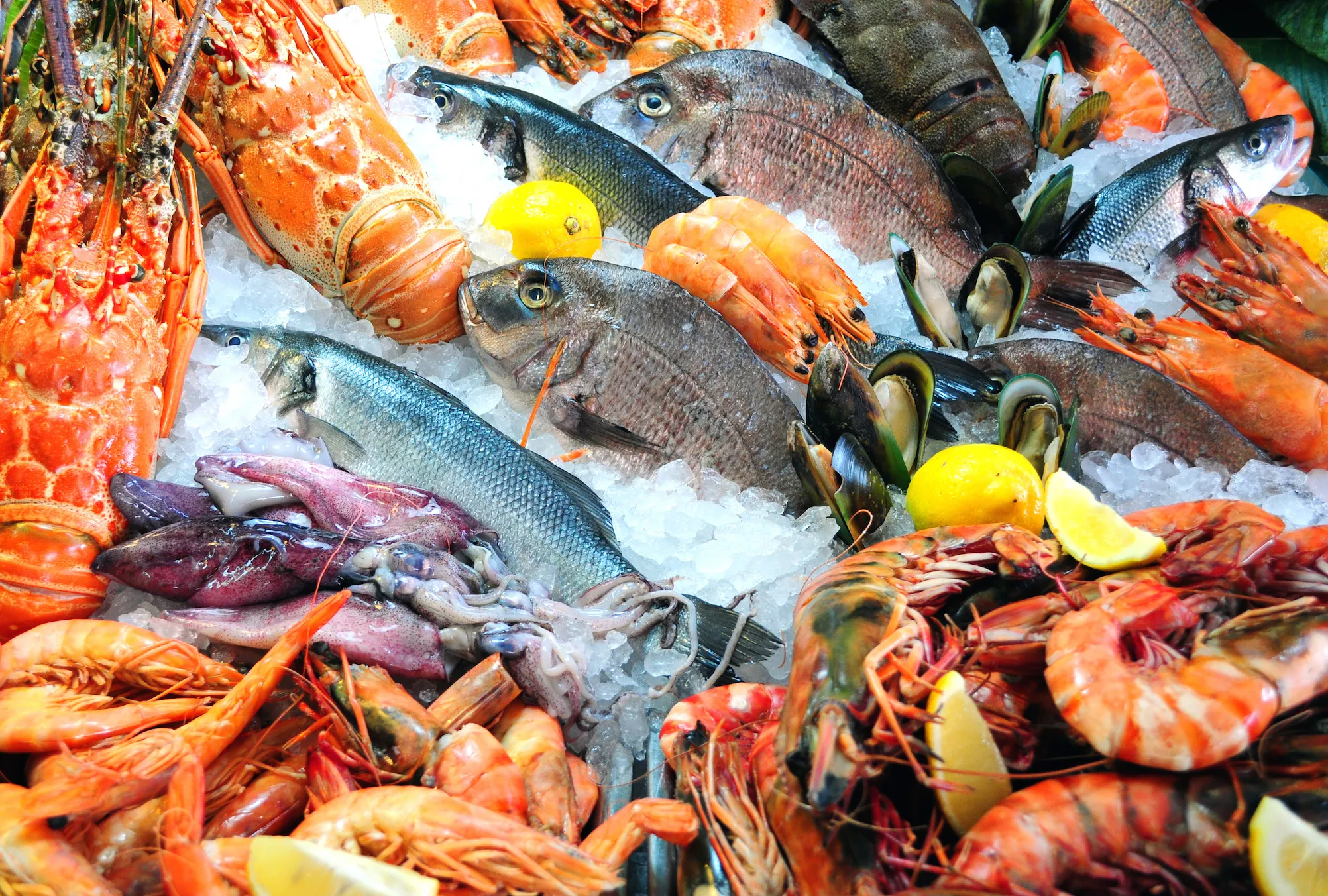 Hurghada Fish market - 11