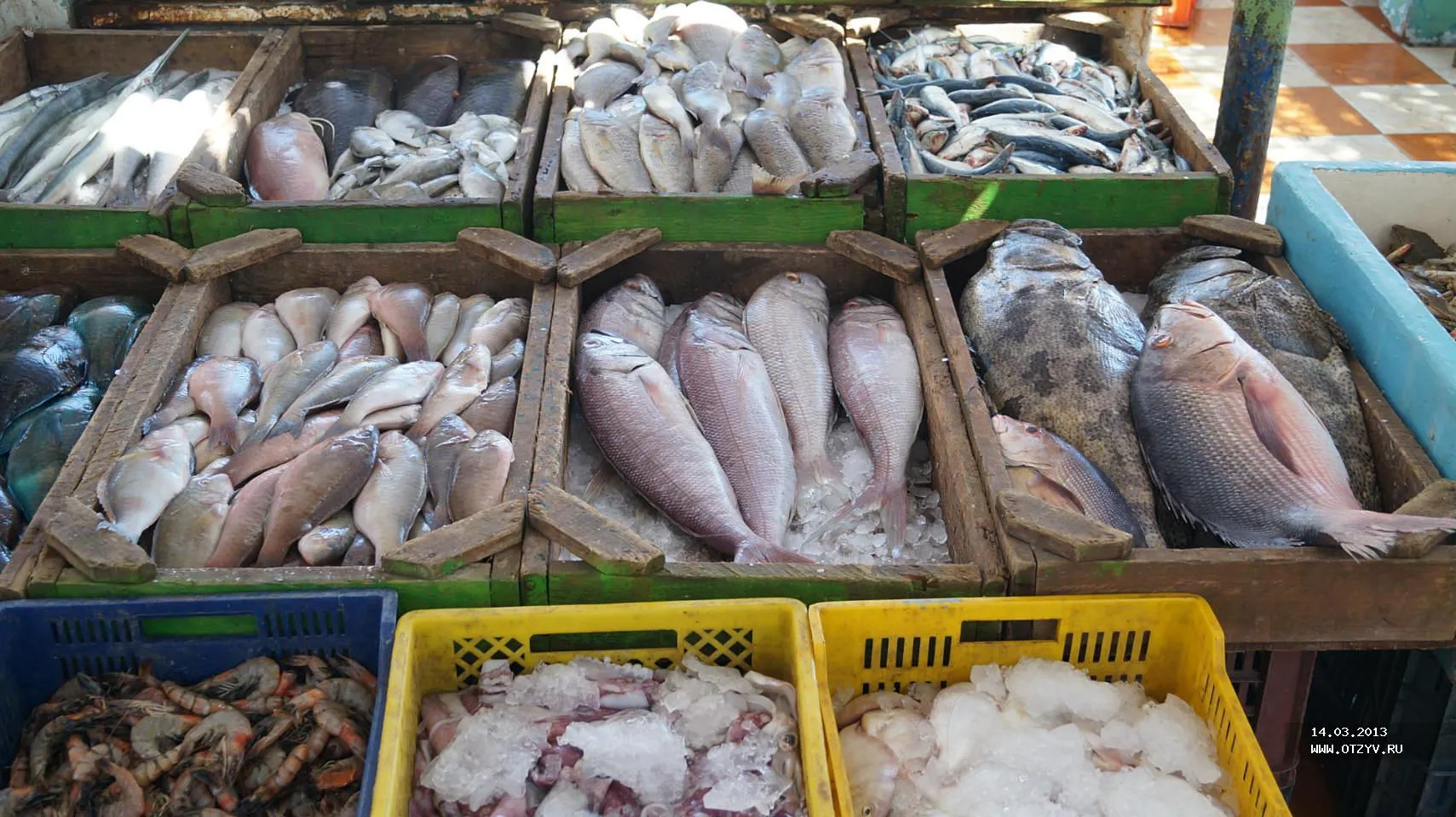Hurghada Fish market - 8