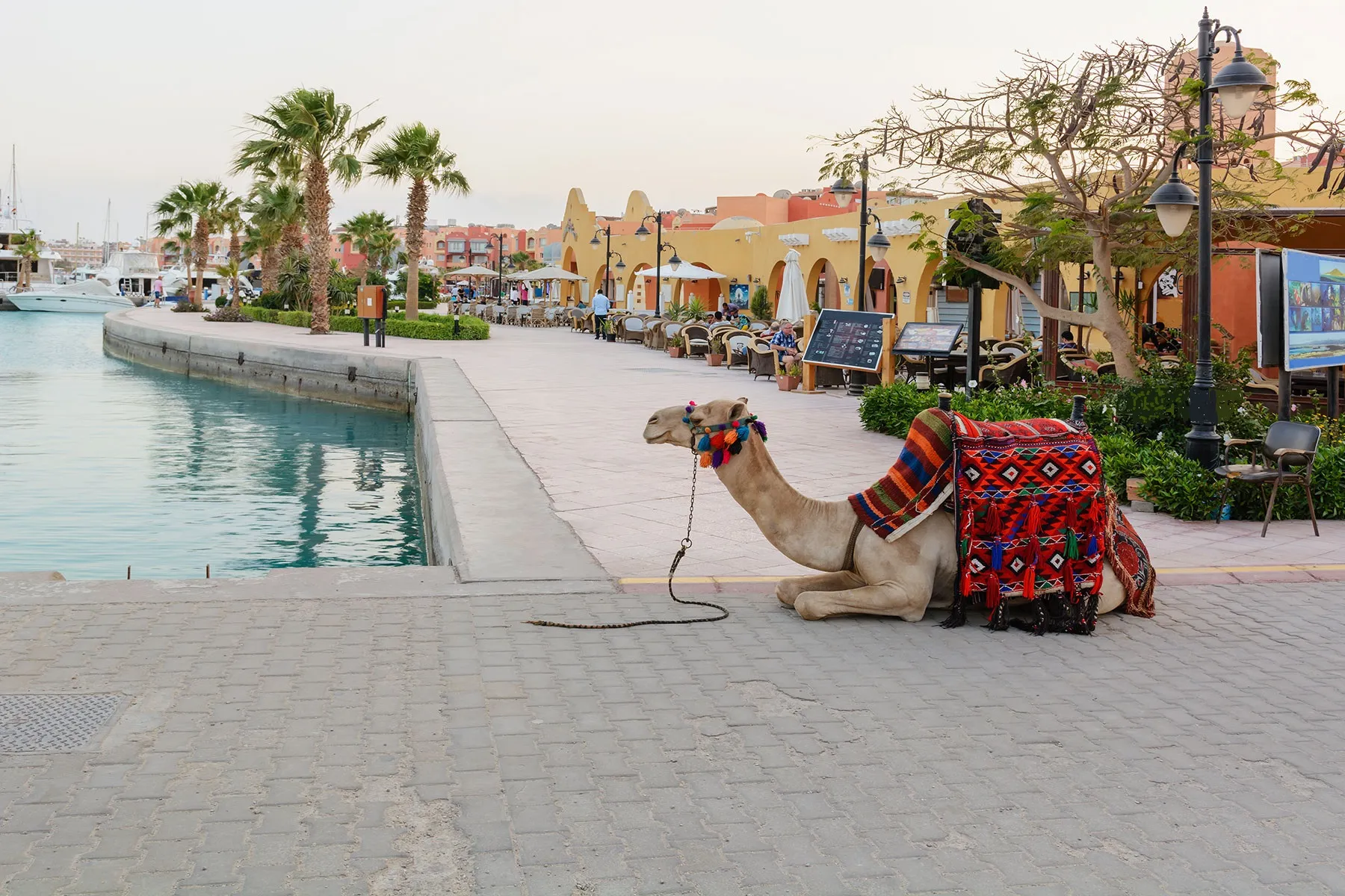 HURGHADA MARINA ( SEA PORT) - 4