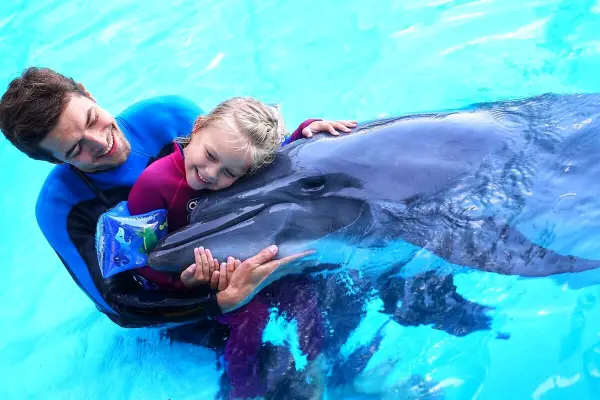 SWIMMING WITH DOLPHINS ( 5 MINUTES) - 12