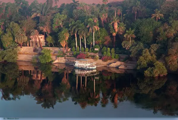 THE ASWAN BOTANICAL GARDEN - 5