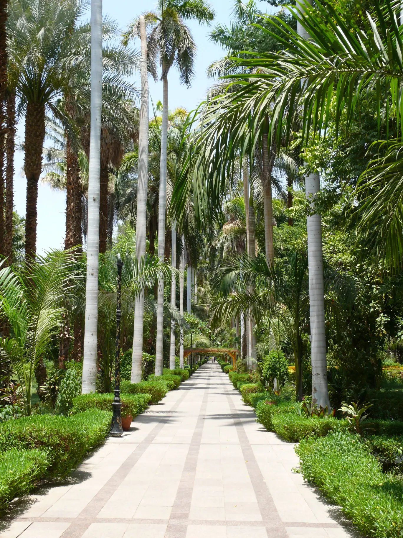 THE ASWAN BOTANICAL GARDEN - 7