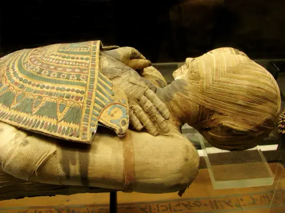 The Mummification Museum - 1