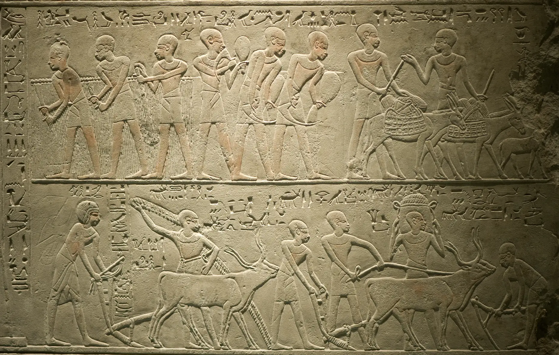 THE TOMB OF MERERUKA - 6