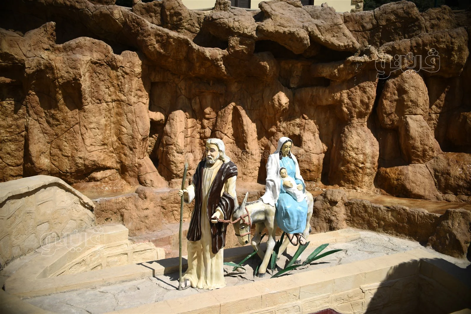 THE TREE OF VIRGIN MARY - 5