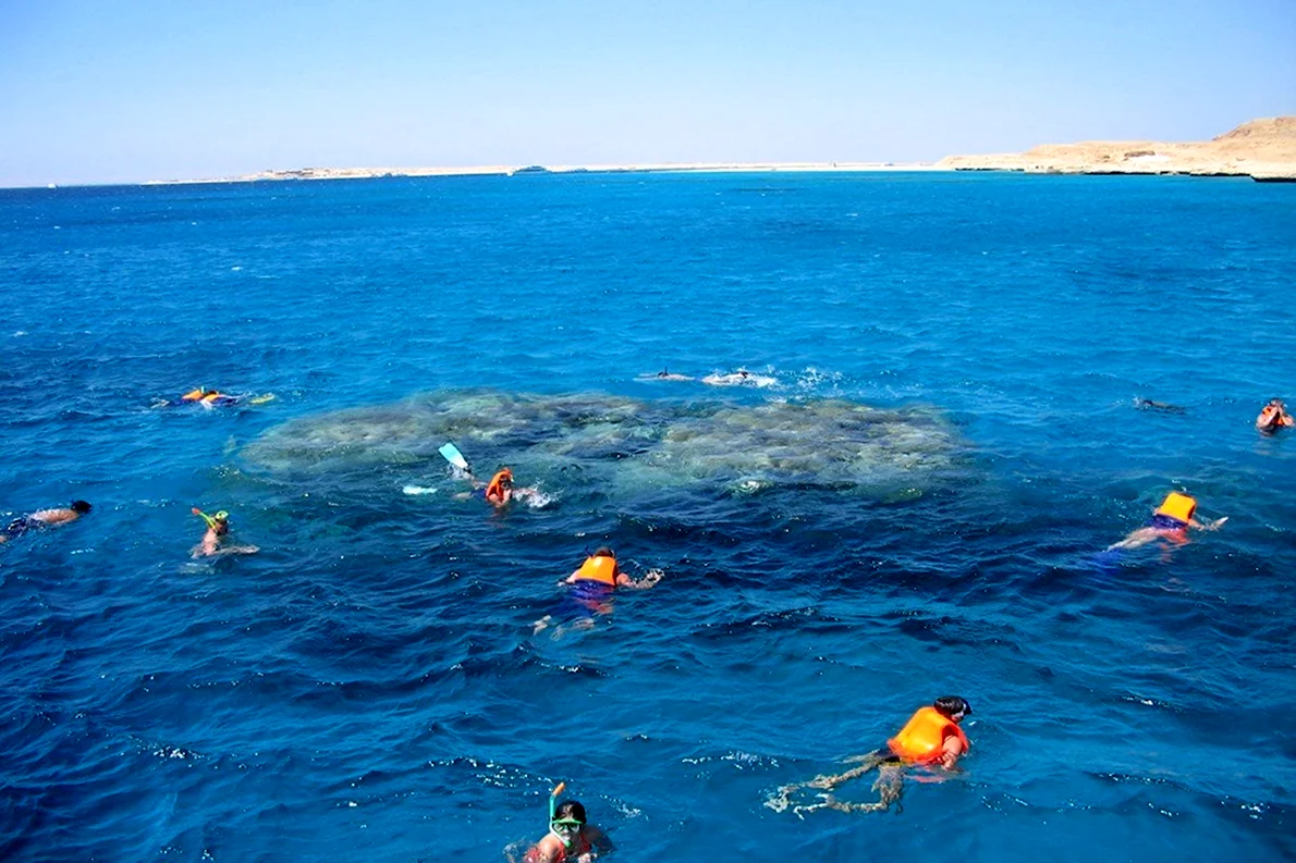 Visit Orange Bay island - 10