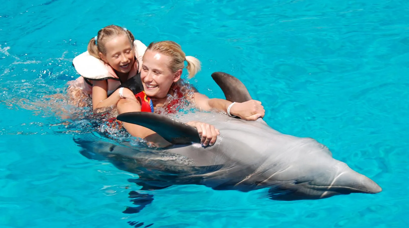 SWIMMING WITH DOLPHINS ( 5 MINUTES)