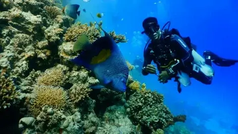 Snorkeling in Hurghada prices