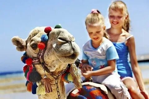 excursions in Hurghada for children