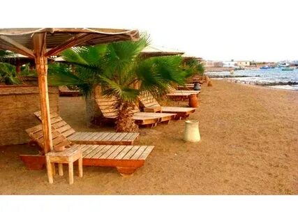 transfer Hurghada Safaga