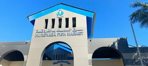 Seafood delivery in Hurghada