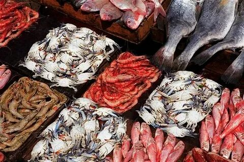 Order seafood in Hurghada