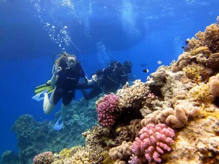 Diving prices in Hurghada