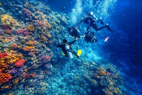 underwater excursions Hurghada