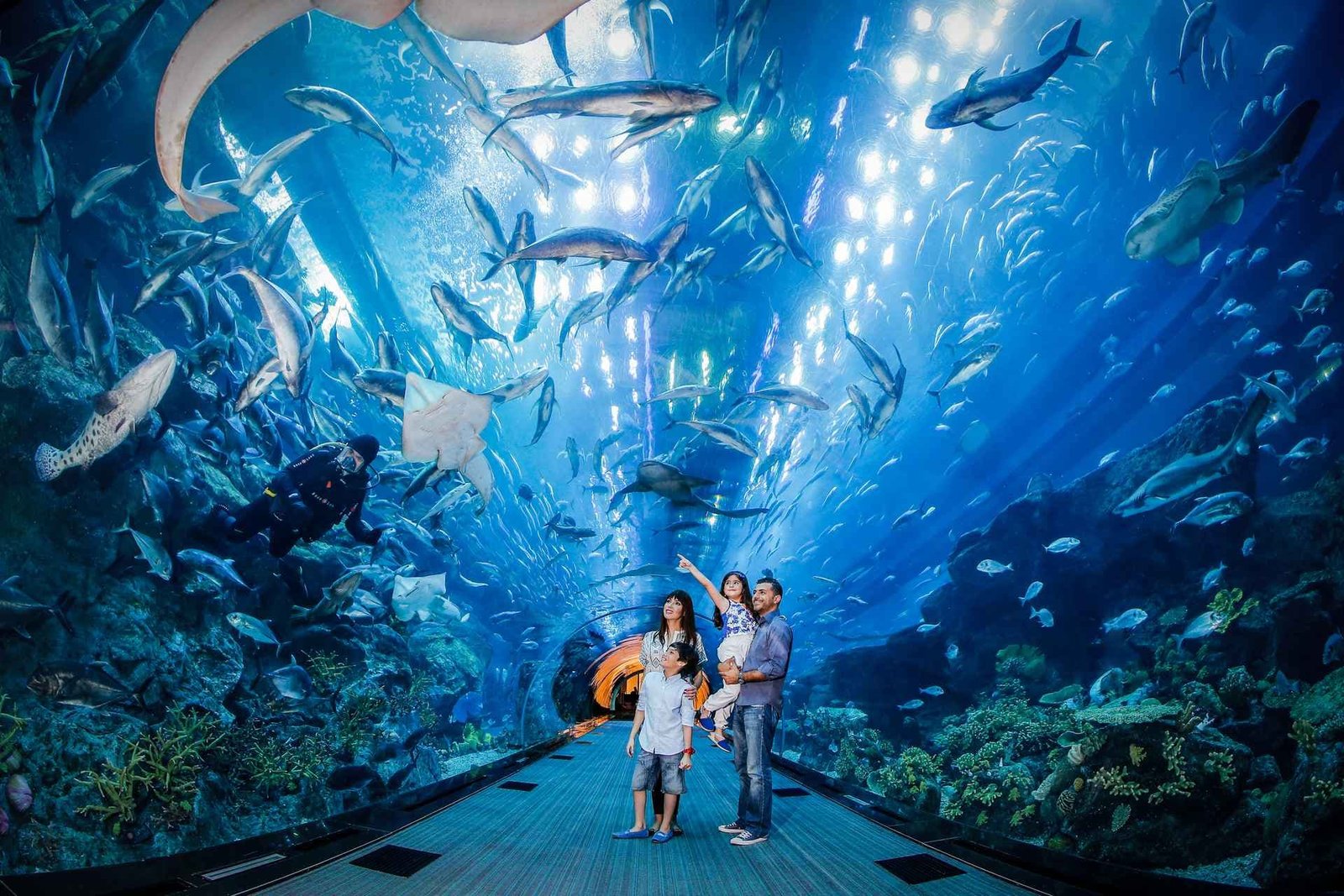 Hurghada Aquarium