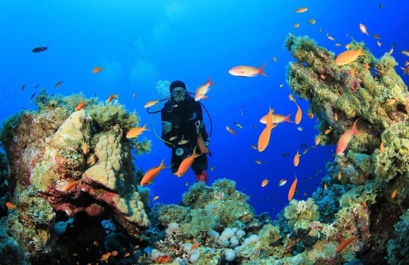 Hurghada or Sharm for snorkelin