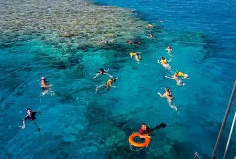 Carless reef diving