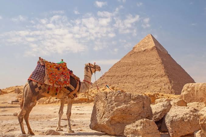How Much Does a Trip to the Pyramids from Hurghada Cost: 7 Best Excellent Options 2025