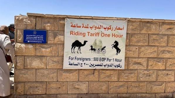 How to Avoid Getting Scammed on Excursions in Hurghada: 7 Practical and Valuable Tips