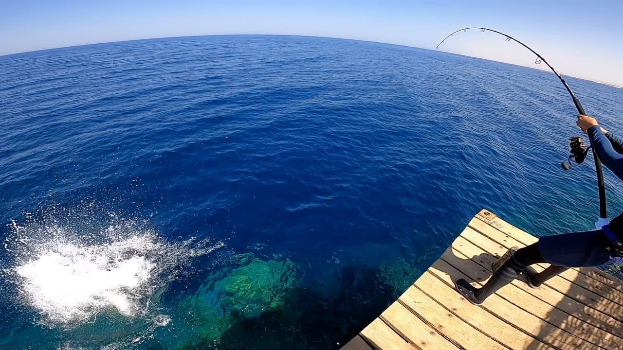 рыбалка в Красном море 🎣🌊🐠