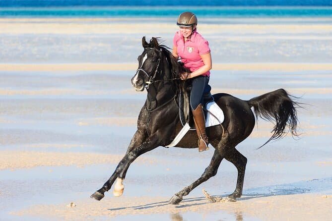 Horseback Riding in Hurghada Horseback Riding in Hurghada