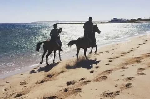 The Benefits of HorsebackRiding The Benefits of HorsebackRiding