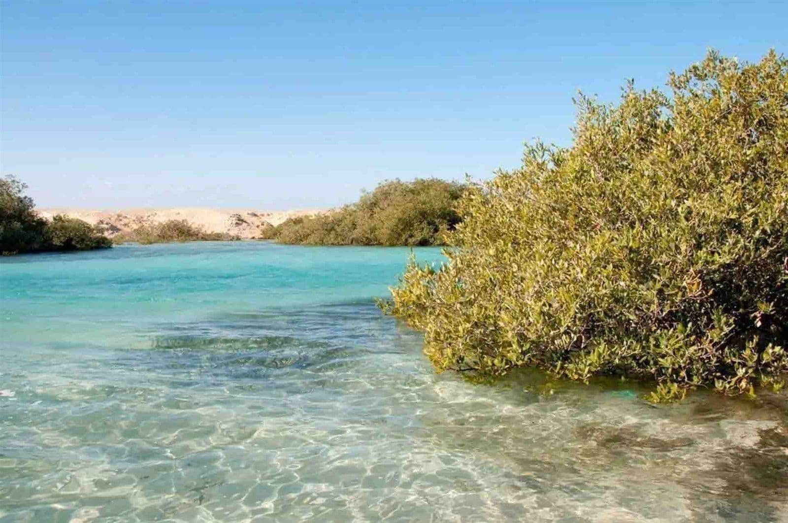 Ecosystem Services of Mangrove Forests Ecosystem Services of Mangrove Forests