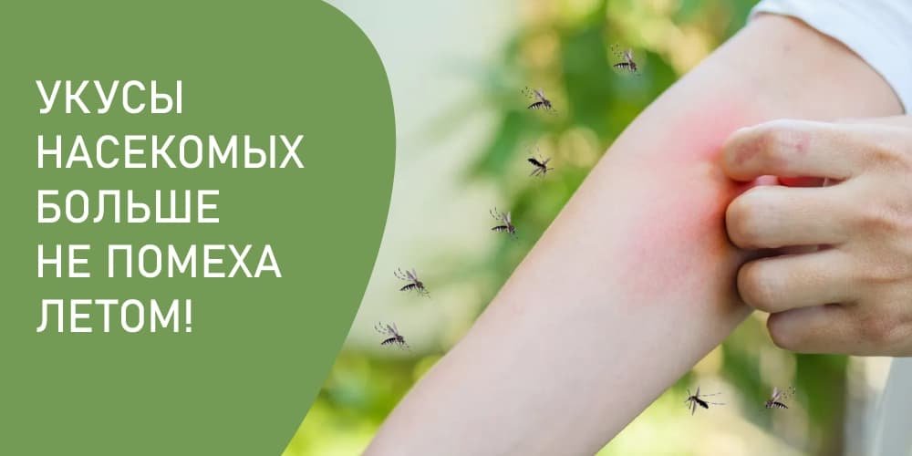 Insect bites Egypt treatment Insect bites Egypt treatment: learn how to prevent and treat insect bites while vacationing in Egypt. - 2