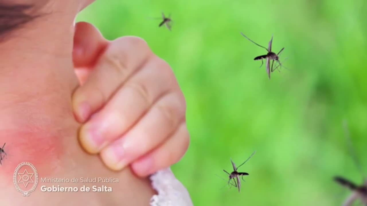 Symptoms of insect bites Insect bites Egypt treatment: learn how to prevent and treat insect bites while vacationing in Egypt. - 3