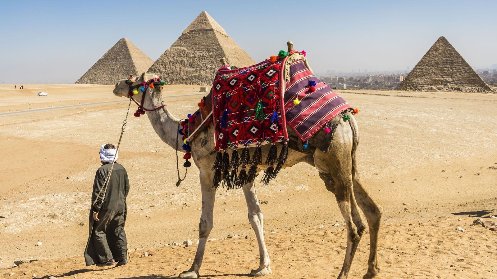 How to Choose a Reliable Tour Operator?