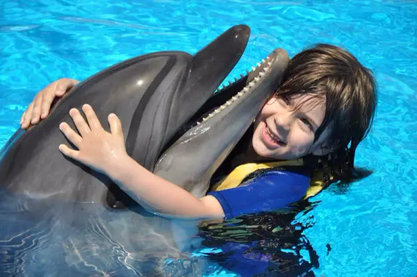 Can You Swim with Dolphins in Hurghada? 5 Detailed Best Experiences 2026