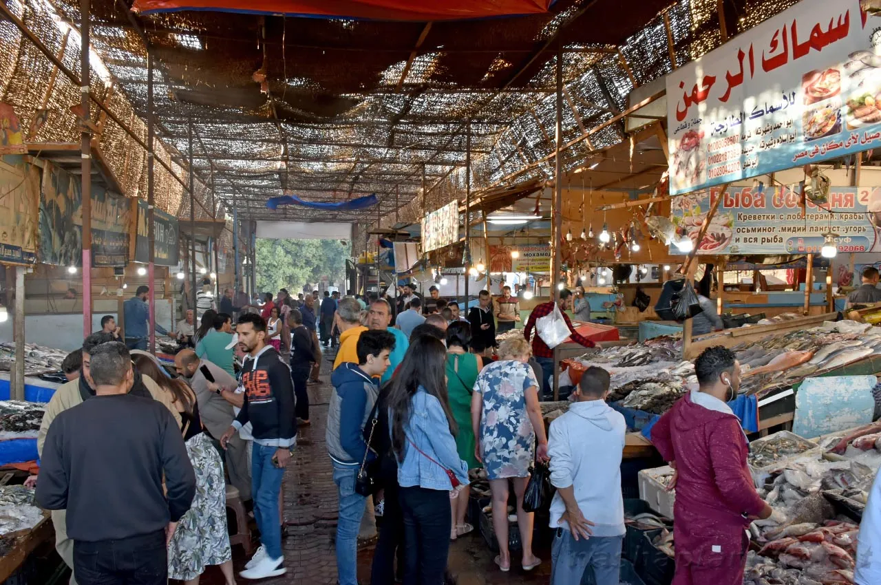 Can You Drink Alcohol in Egypt? The Best Reliable Guide 2026