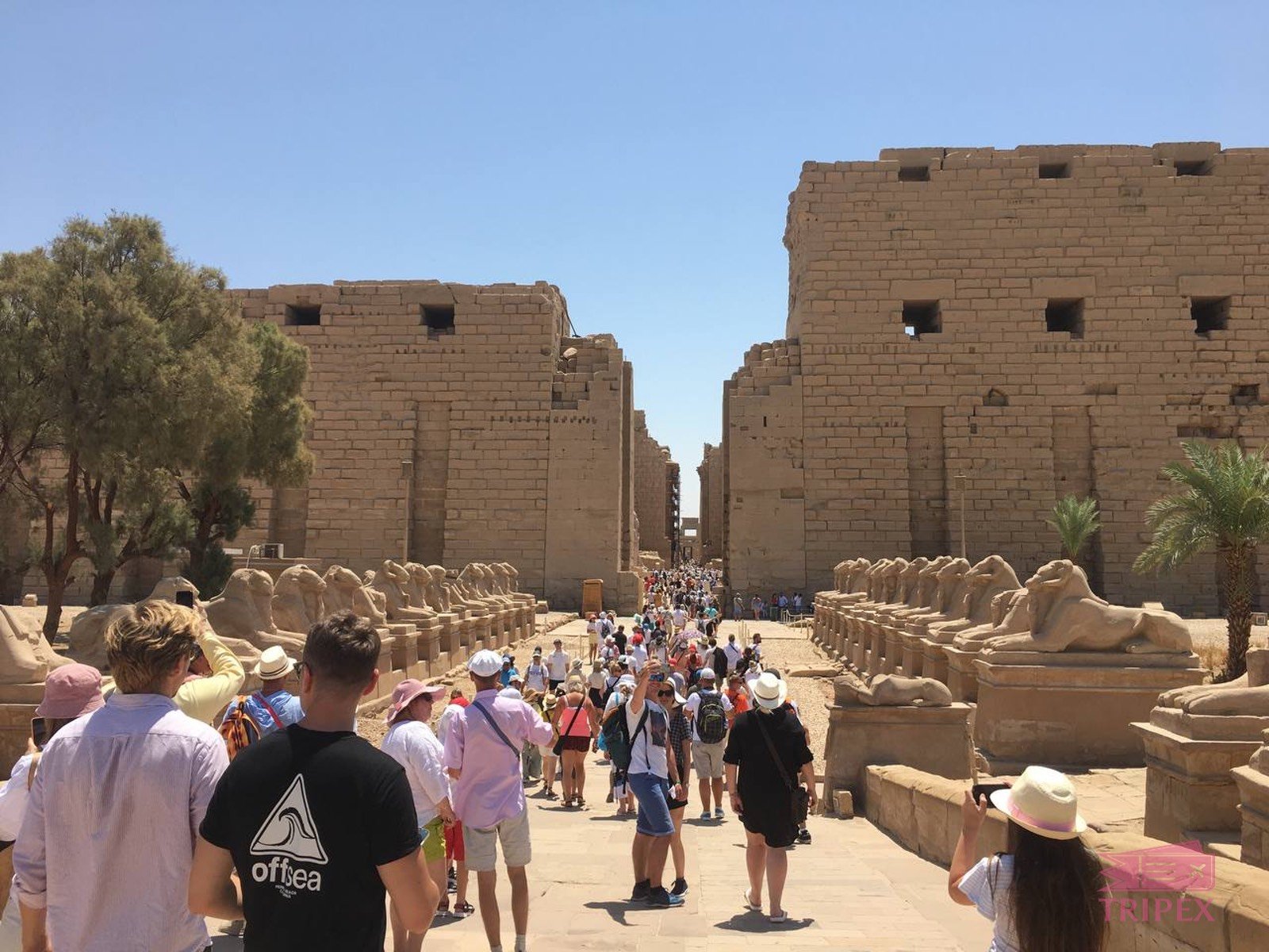 ONE DAY TRIP TO LUXOR (FULL PROGRAM)