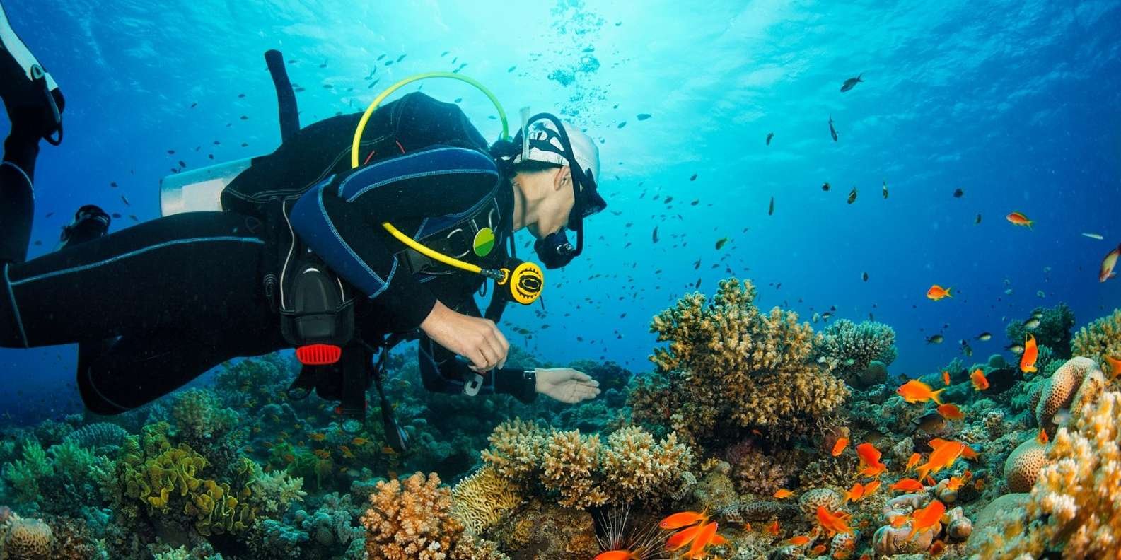 THE OPEN WATER COURSE (3-4 days)