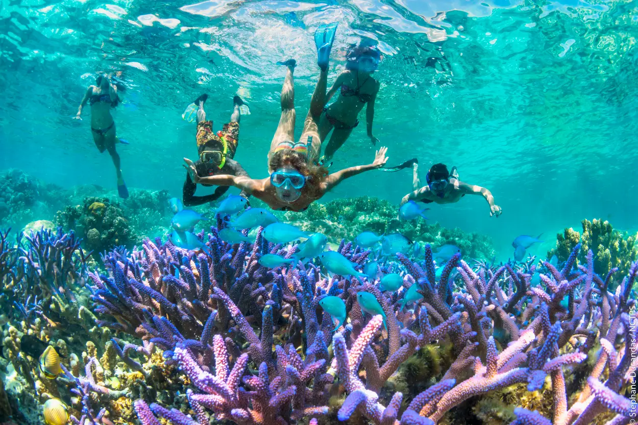 CORAL REEF SNORKELING