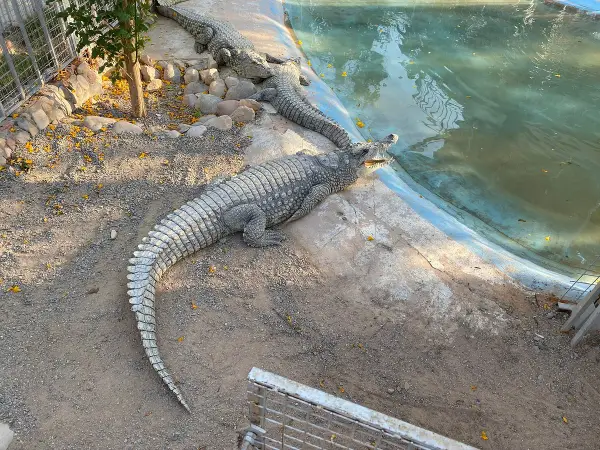 HURGHADA GRAND AQUARUIM