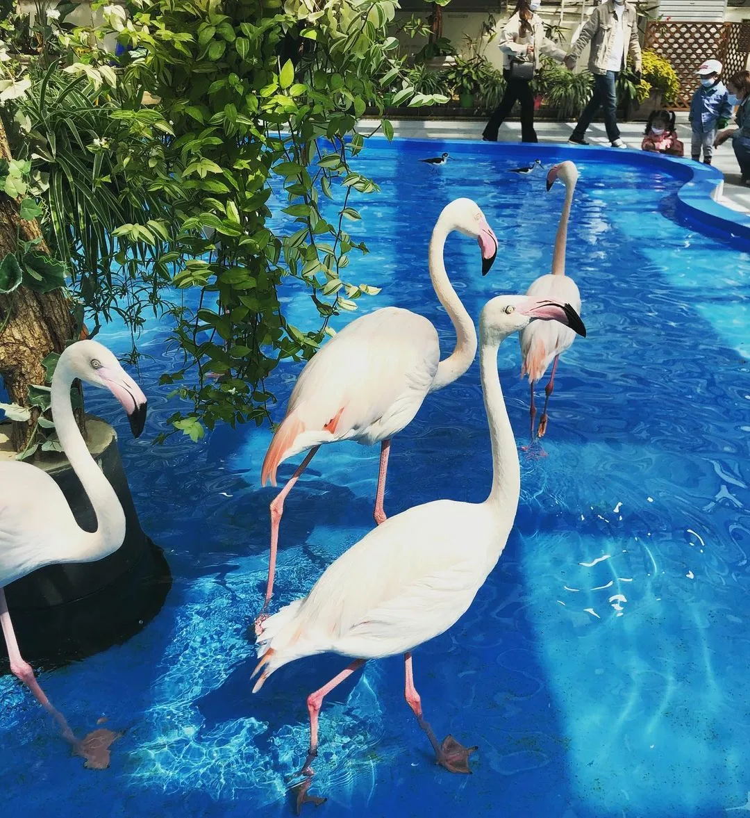 HURGHADA GRAND AQUARUIM