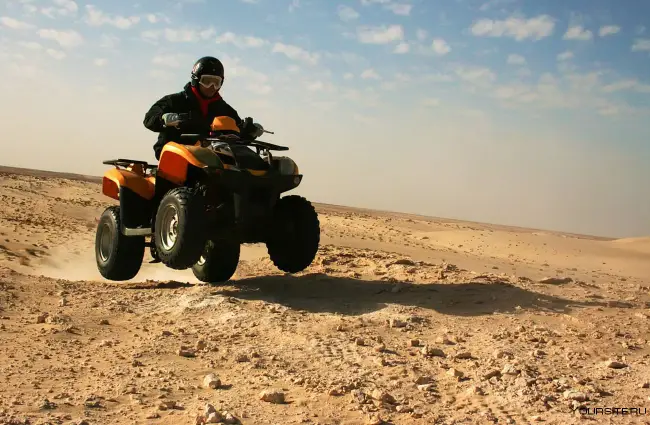 PRIVATE EVENING SAFARI