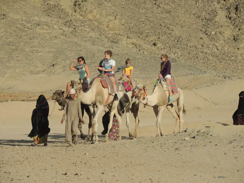 PRIVATE MORNING SAFARI