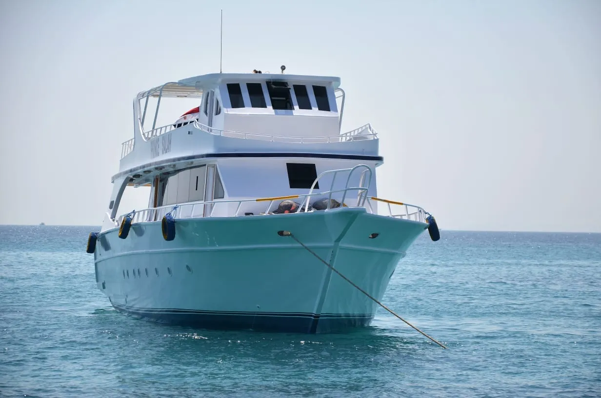 PRIVATE SEA TRIP - ON PRINCE SALAH BOAT