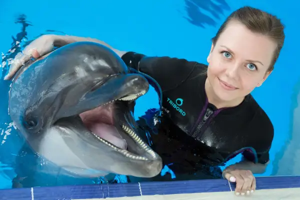 PRIVATE TOUR TO HURGHADA GRAND AQUARUIM AND DOLPHIN SHOW