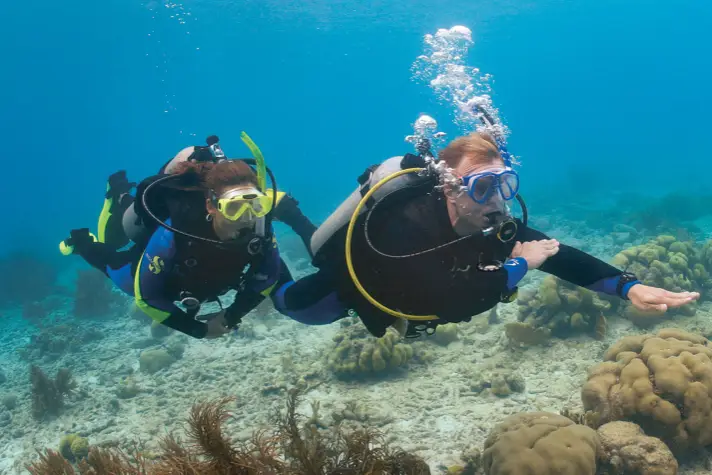 THE ADVANCED OPEN WATER COURSE (2-3 days )